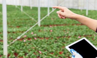 PA旗舰厅(中国区)官方网站-PlayAce